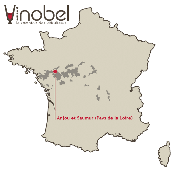 Carte du vignoble Anjou - Saumur